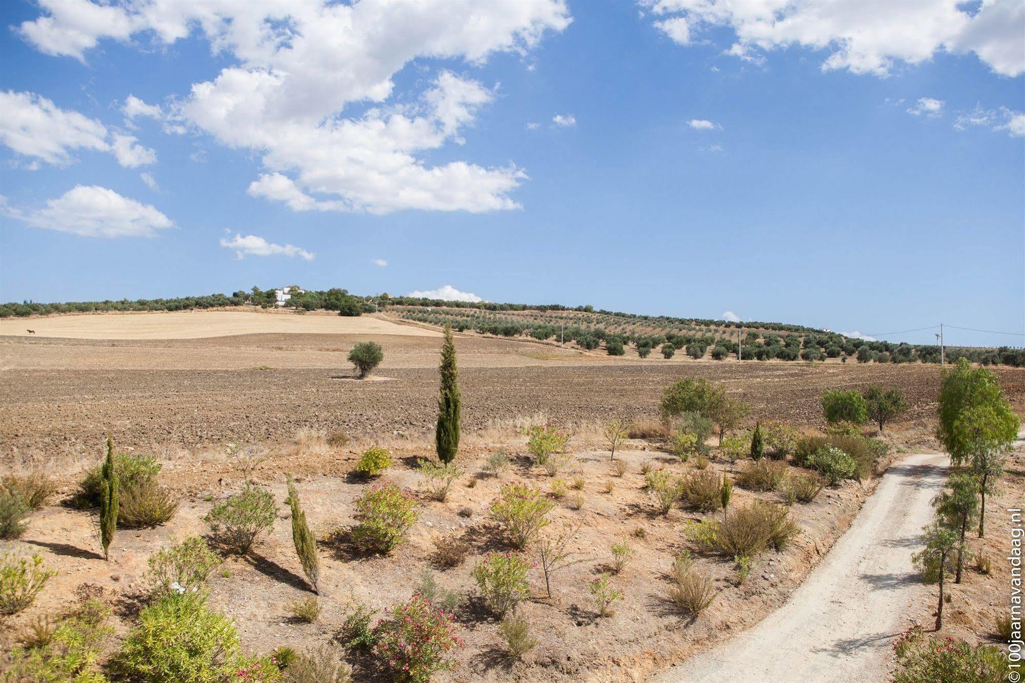 Arriadh Hotel Ronda Bagian luar foto